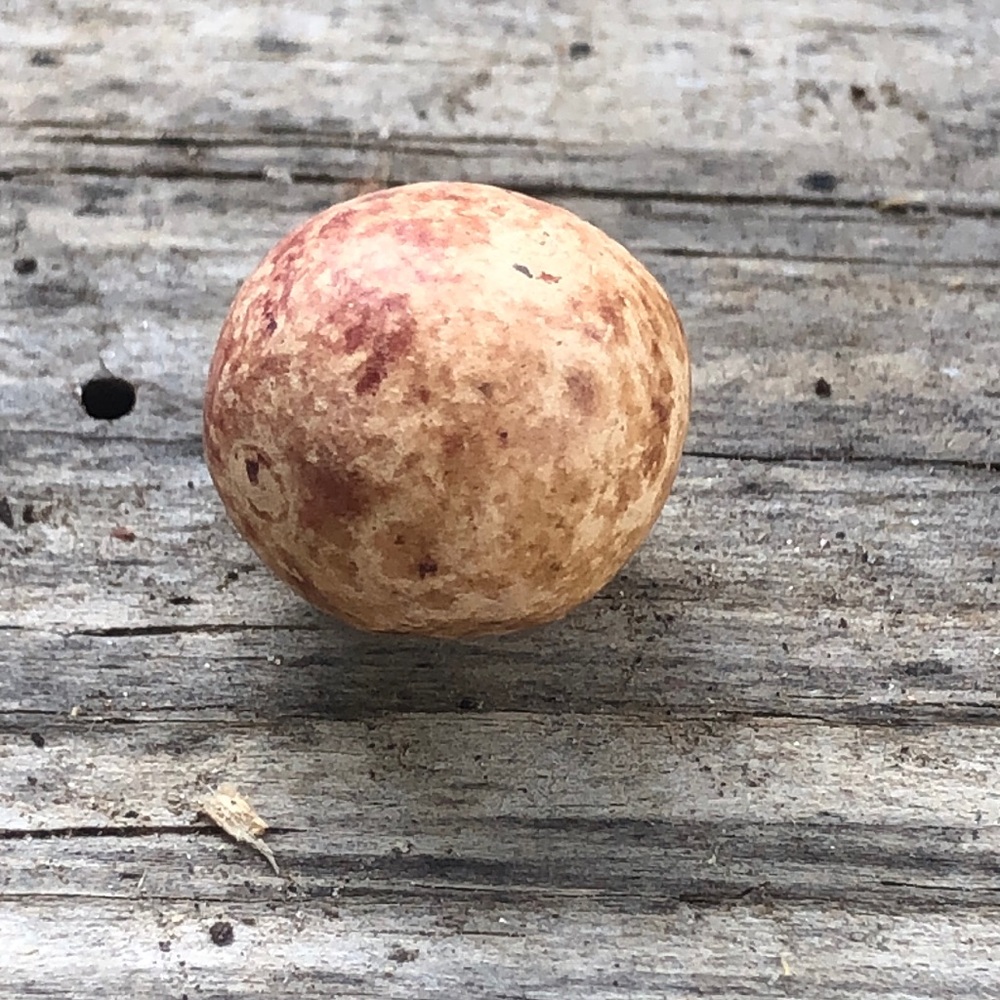 Very old earthen marble